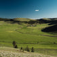 Certified All-Natural, Pasture-Raised Angus Beef (1/8, 1/4, 1/2 or whole)--Direct From Our Family Ranch