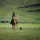 Certified All-Natural Pasture-Raised Angus Ground Beef (Deposit for 40 lbs)--Direct From Our Family Ranch